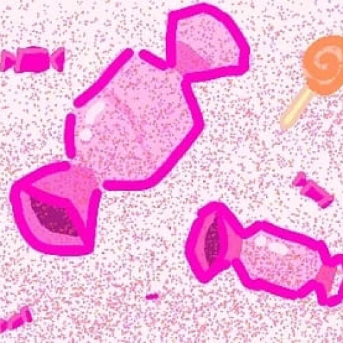 Изображение к новости Компьютерная анимация Сладости