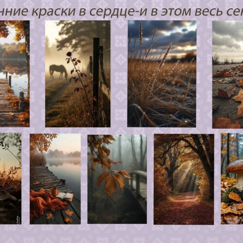 Изображение к новости Такая разная осень