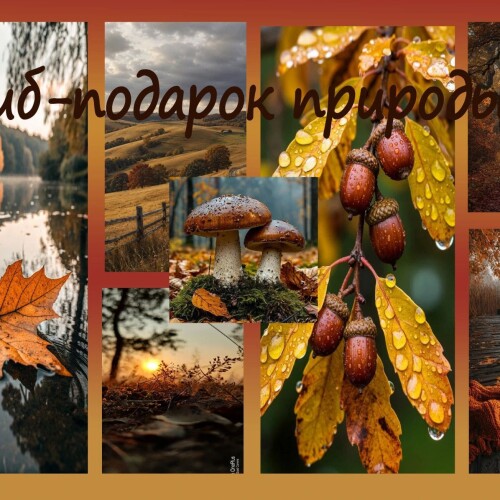 Изображение к новости Такая разная осень